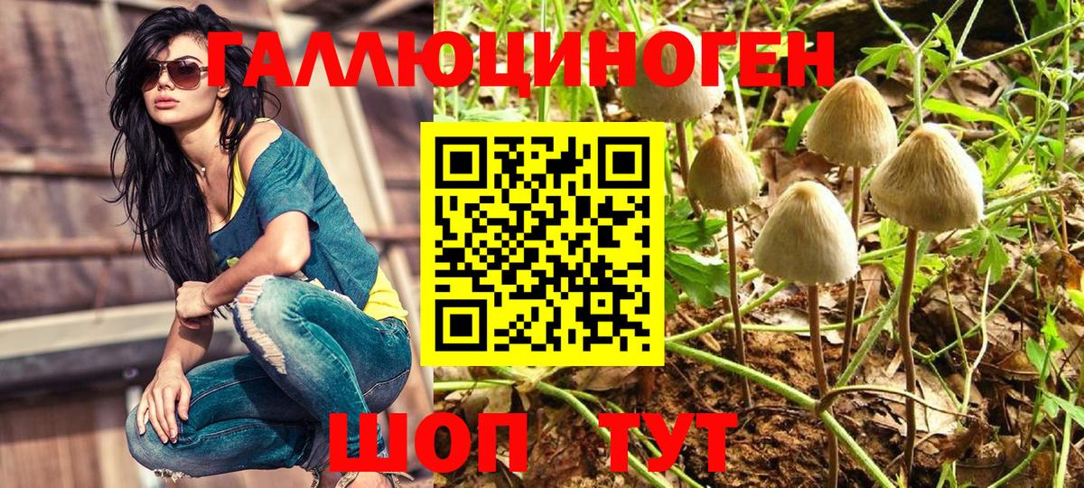 Нижневартовск  Галлюциногенные грибы мухоморы  даркнет сайт  Вход с VPN 