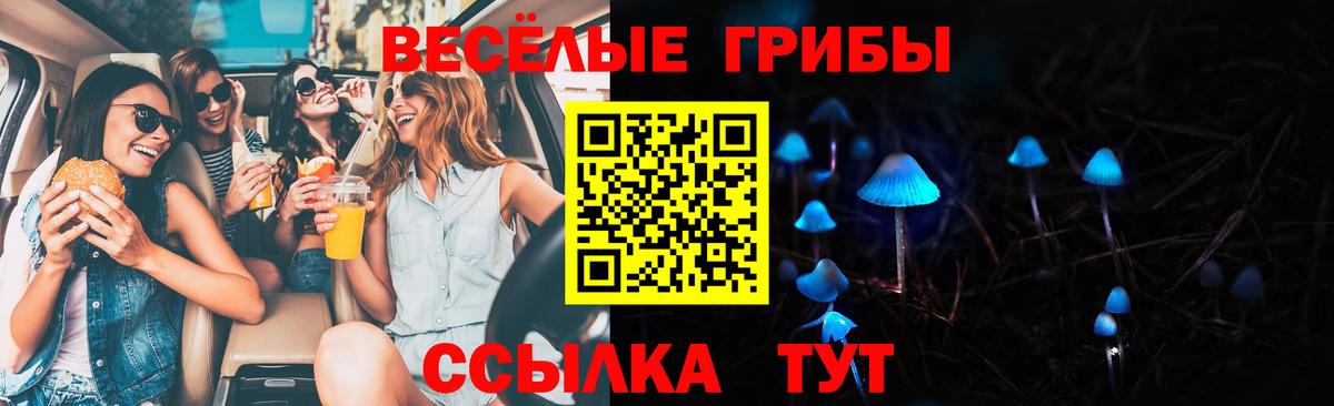 Псилоцибиновые грибы Psilocybe Нижневартовск